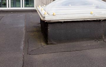 disadvantages of Catrine flat roofs