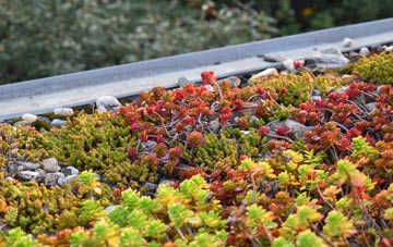 the cost of Catrine green roof installation