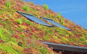 Catrine living roof systems