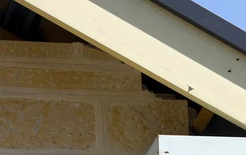 soffit repair Catrine