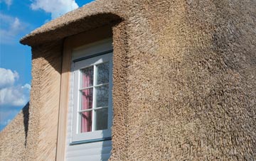 Catrine thatch roof disadvantages