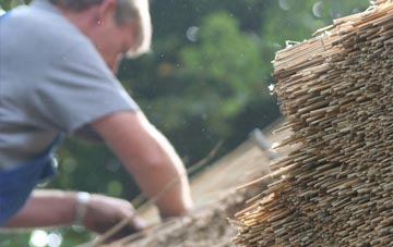 professional Catrine thatchers