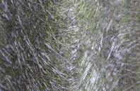 Catrine fibreglass roof work