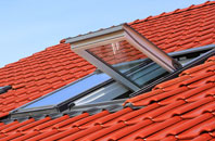 Catrine roof window