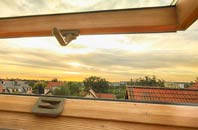 rated Catrine roof window companies